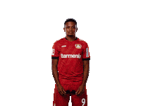 Bayer 04 Deal With It Sticker by Bayer 04 Leverkusen