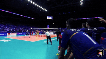 volleyball volley GIF by EuroVolley2019Fr