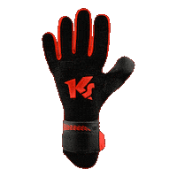 Dominance Goalkeeper Gloves Sticker by KEEPERsport