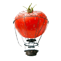 ketchup mundokerns Sticker by TBWA Guatemala