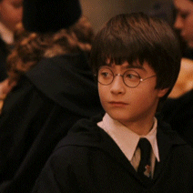 Harry Potter GIF by giphydiscovery