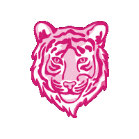 All In Pink Sticker by Tigertown Graphics