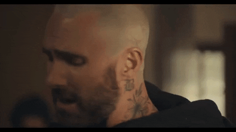 brentfaulkner giphyupload music video pop maroon 5 GIF