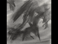 Birds Fighting GIF by Gabriela