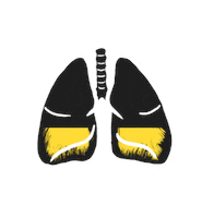 Fitness Swimming Sticker by SwimGym