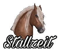 Pony Sticker