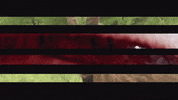 Art Video GIF by jorgemariozuleta