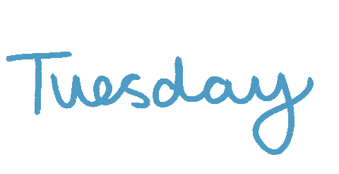 Days Of The Week Day Sticker by Haley Tippmann