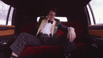 Call Me Limo GIF by Spiegelworld