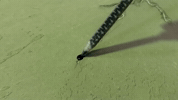 GIF by ARDEX Australia