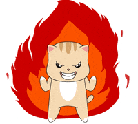 Cat No GIF by Chubbiverse