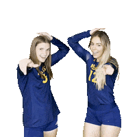 RegisVolleyball volleyball kennedy haley regis Sticker