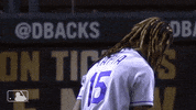 Major League Baseball Sport GIF by MLB