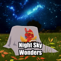 Stars Night GIF by The Cardinal Virtue