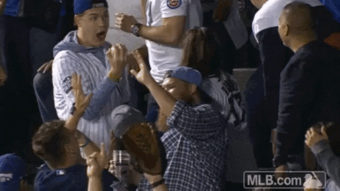 excited chicago cubs GIF by MLB