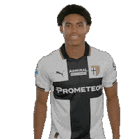 Goal Sticker by Parma Calcio 1913