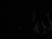 Youtube Jk GIF