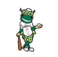 Baseball Augusta Sticker by GreenJackets