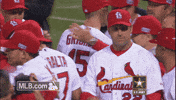 St Louis Cardinals Stl GIF by MLB