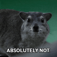 No Way GIF by Valley Zoo Development Society