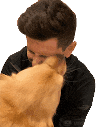 Hey You Puppy Sticker