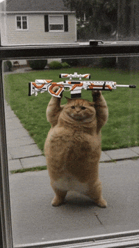 Trending Aura GIF by Darwin