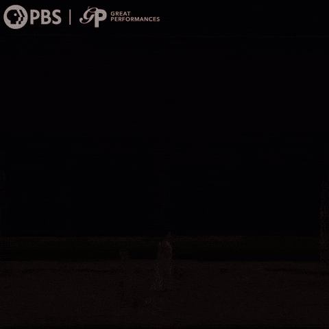 Dance GIF by GREAT PERFORMANCES | PBS