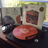 loseredition GIF by Sub Pop Records