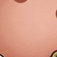 the body shop cat GIF