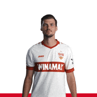 Ausgezeichnet Stenzel GIF by VfB Stuttgart