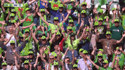 Nrl Viking Clap GIF by Canberra Raiders