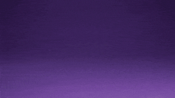 Winston Chameleon GIF by Zack Kantor