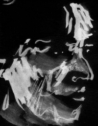 face portrait GIF by TraceLoops