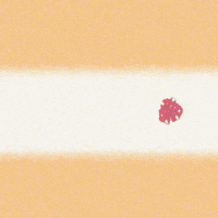 Wellcome Library Strawberry GIF by GIF IT UP