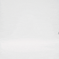 Cat Running GIF by Petsure UK