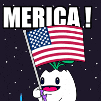 United States Usa GIF by Magic Eden