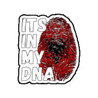 Albania Shqiperia Sticker