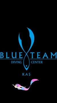Blueteamdiving blueteamdivingcenter blueteamdiving GIF