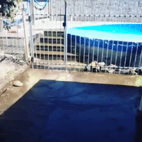 Water Splashes Out of Pool as Quake Shakes Christchuch