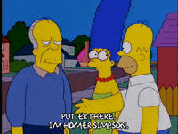 homer simpson episode 13 GIF