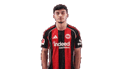 Eintracht Frankfurt Hello Sticker by Bundesliga