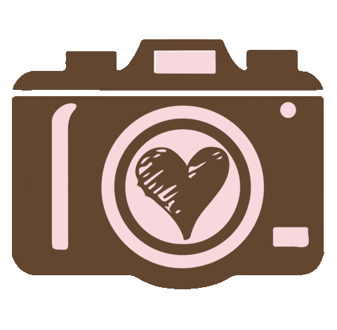 Camera Album Sticker by amofotolivro