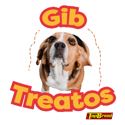 UniversalRobinaCorporation giphyupload doggo pupper dogmom Sticker