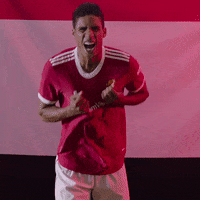 Football Soccer GIF by Manchester United
