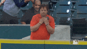 Major League Baseball Reaction GIF by Detroit Tigers