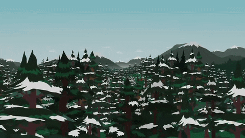 forest trees GIF by South Park 