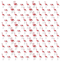 summer pink GIF