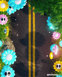 Driving Road Trip GIF by Evan Hilton