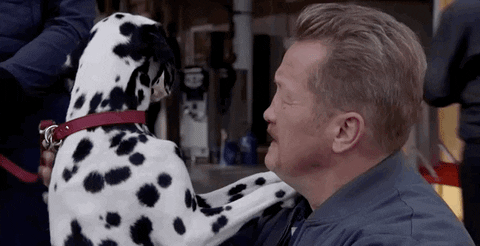 Chicago Fire Dog GIF by Wolf Entertainment