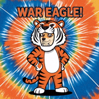 Proud College Sports GIF by Doge Pound